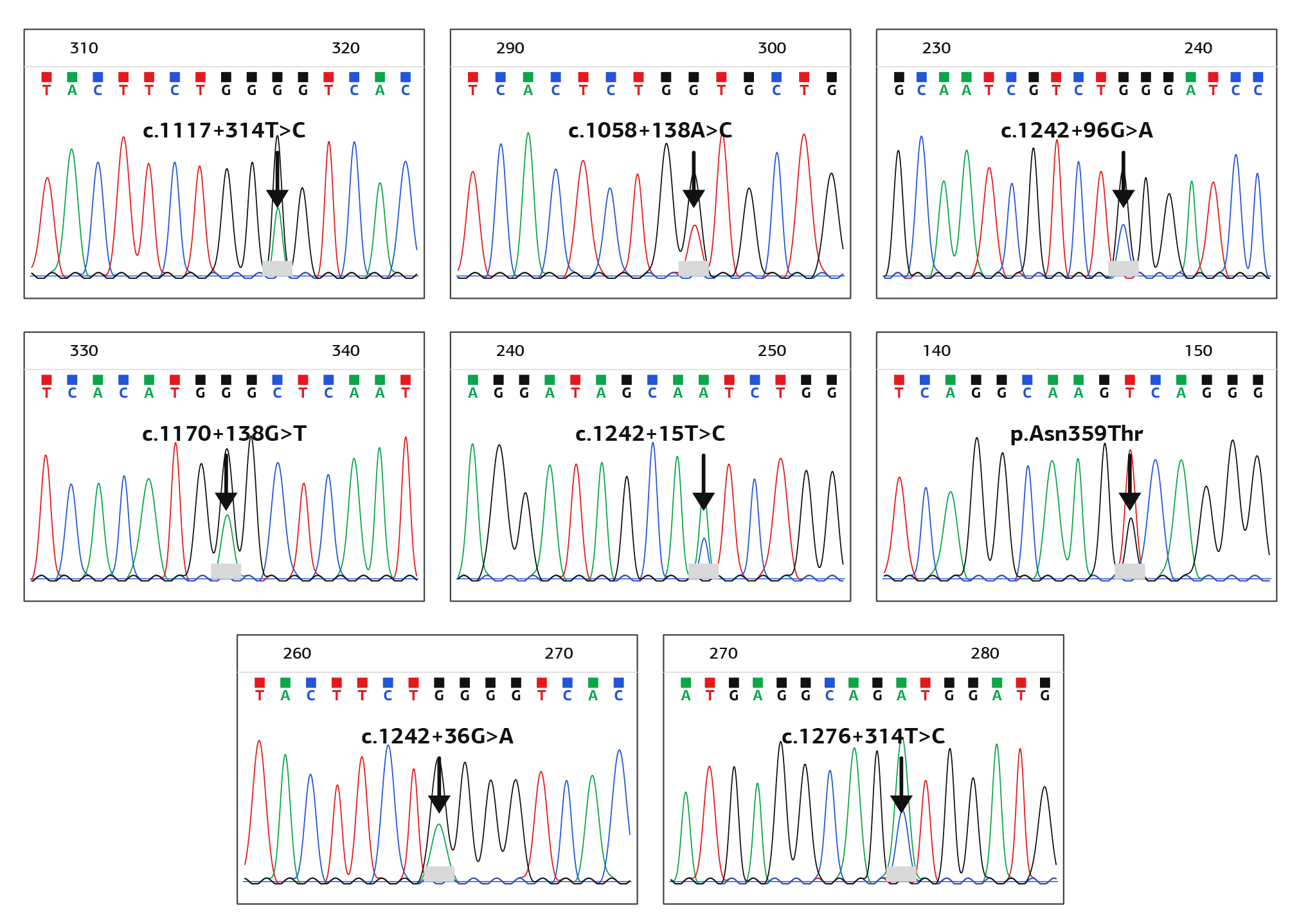 Figure 2. Control Group EPHX2, Results of Sanger DNA Sequencing and Detected Variants
