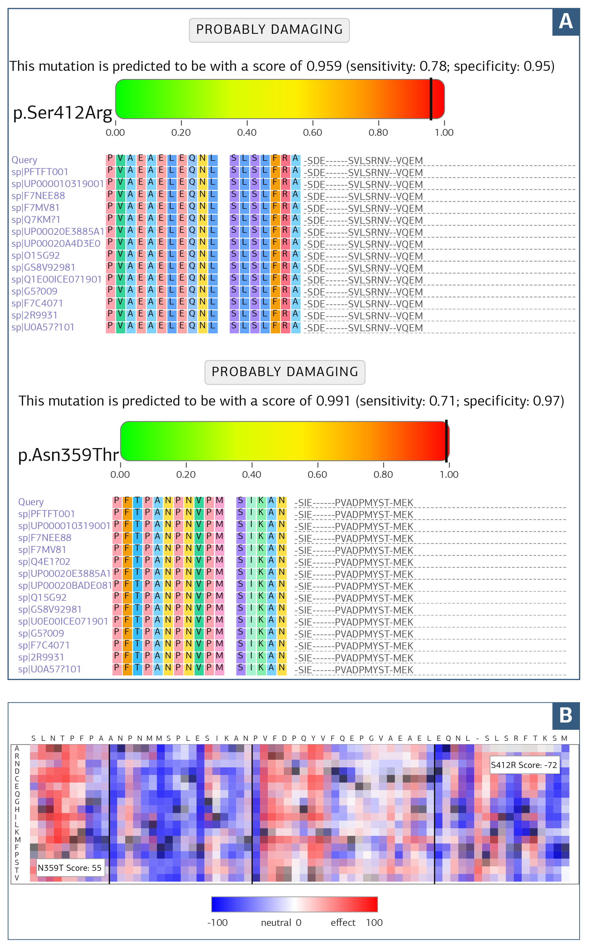 Figure 3. A) Prediction of Possible Functional Effects of Detected Missense Mutations Using PolyPhen2 and Determination of Their Impact on Evolutionarily Conserved Amino Acids (Representative Missense Mutations are Shown) B) Prediction of Possible Functional Effects of Detected EPHX2 Missense Mutations Using SNAP2