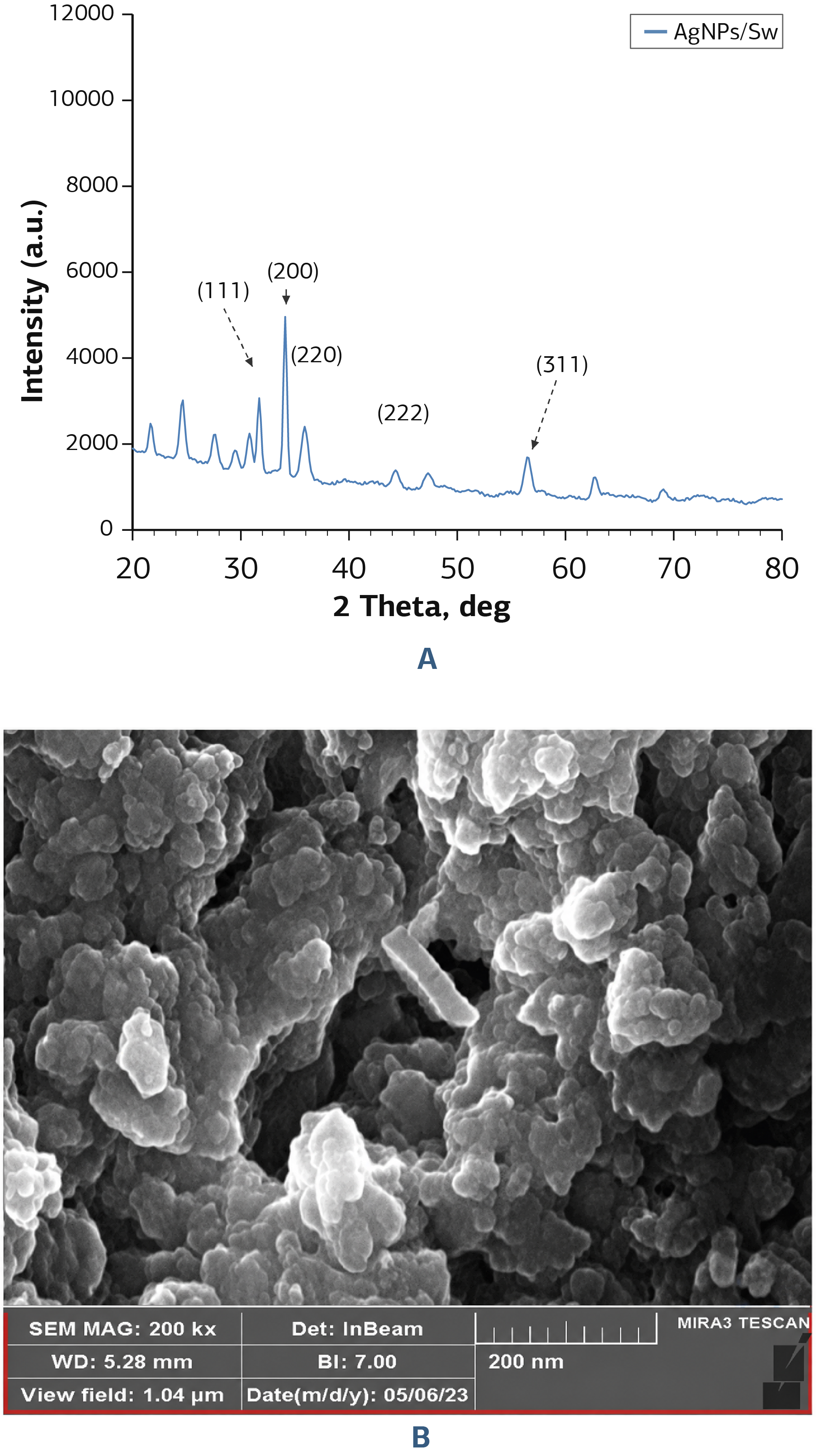 Figure 2. A, XRD Pattern and B, SEM Image of AgNPs/Sw