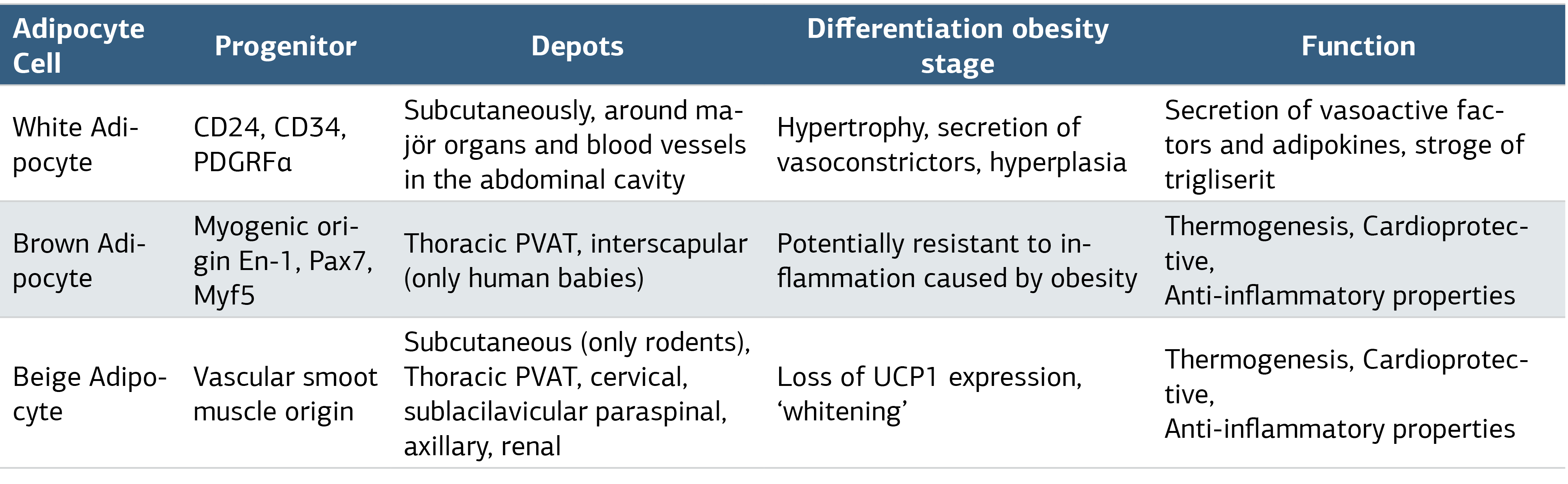 Table 1. Comparison of White, Brown and Beige Fat Cells in Humans and Mice.[13]