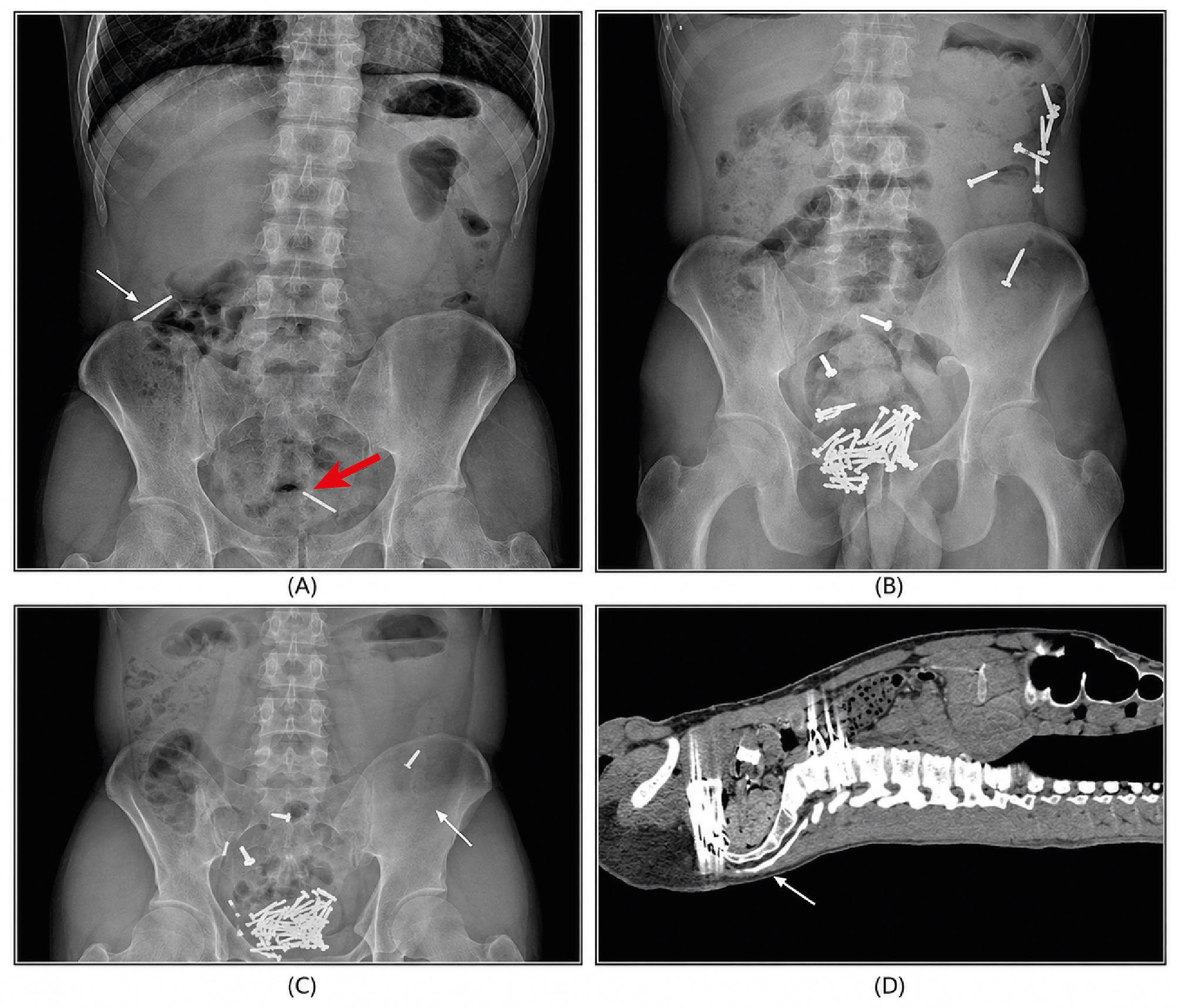 Figure 3. Case 2