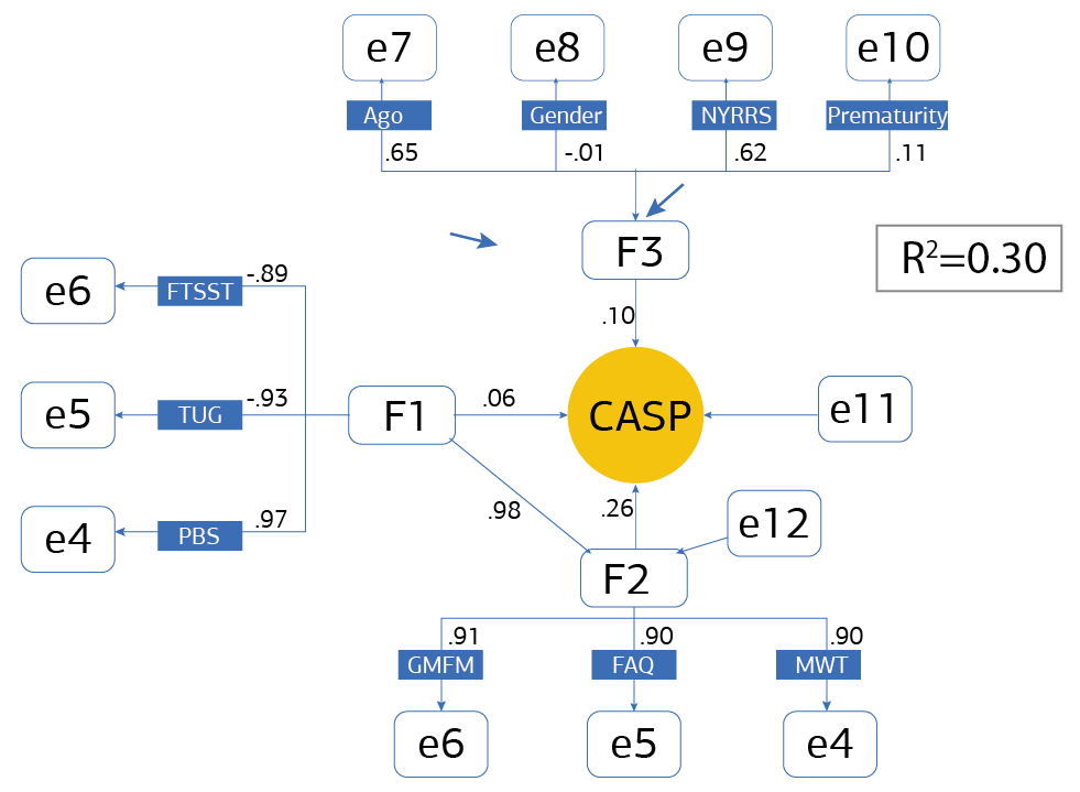 Figure 2. Results of path model (p