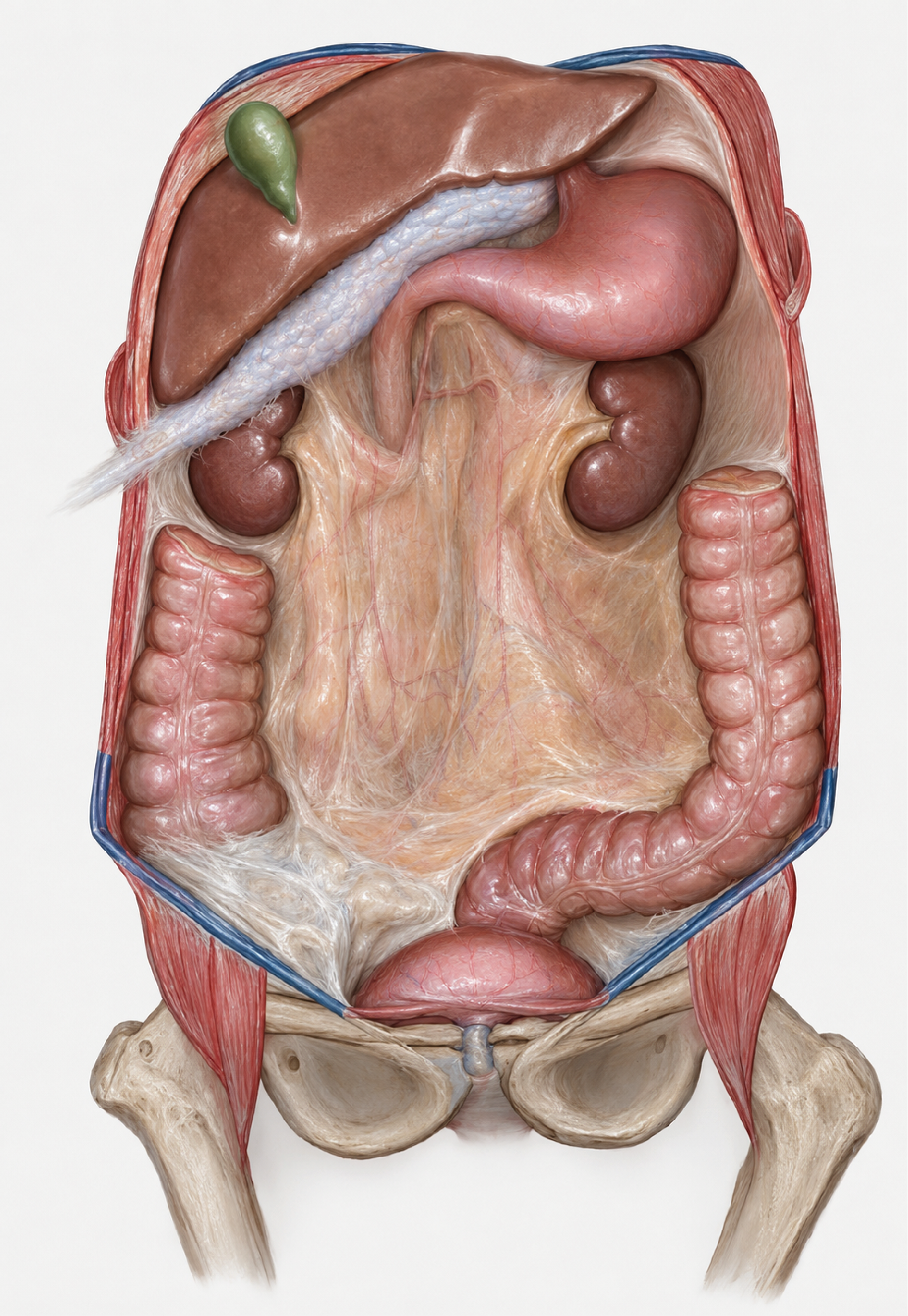 Figure 1. Illustration of ERFSGCM