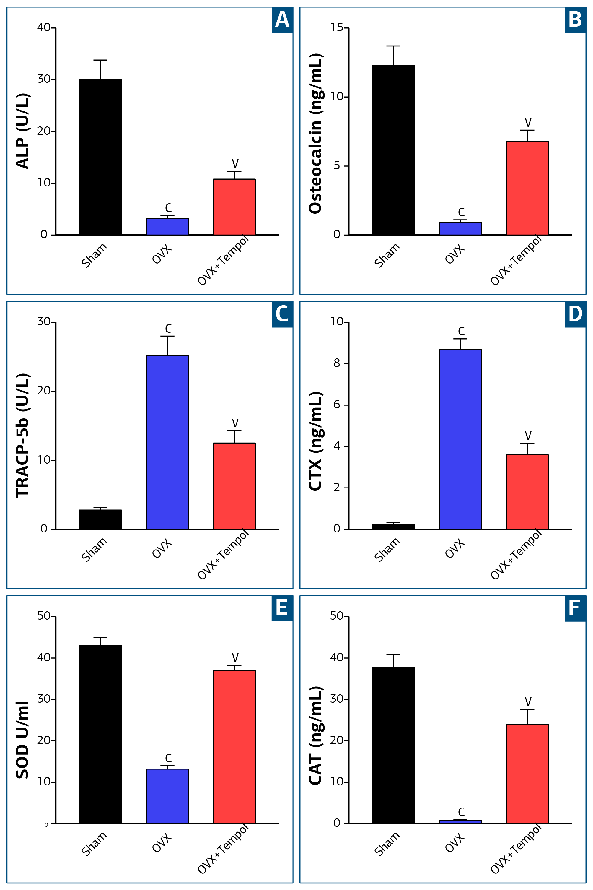 Figure 2. Impact of tempol on osteoporotic markers (A) ALP, (B) osteocalcin (C) TRACP-5b (D) CTX, and oxidative markers (E) SOD, (F) CAT in different female rat groups. cp< 0.05 indicates significance to sham group, vp< 0.05 significant of OVX group.