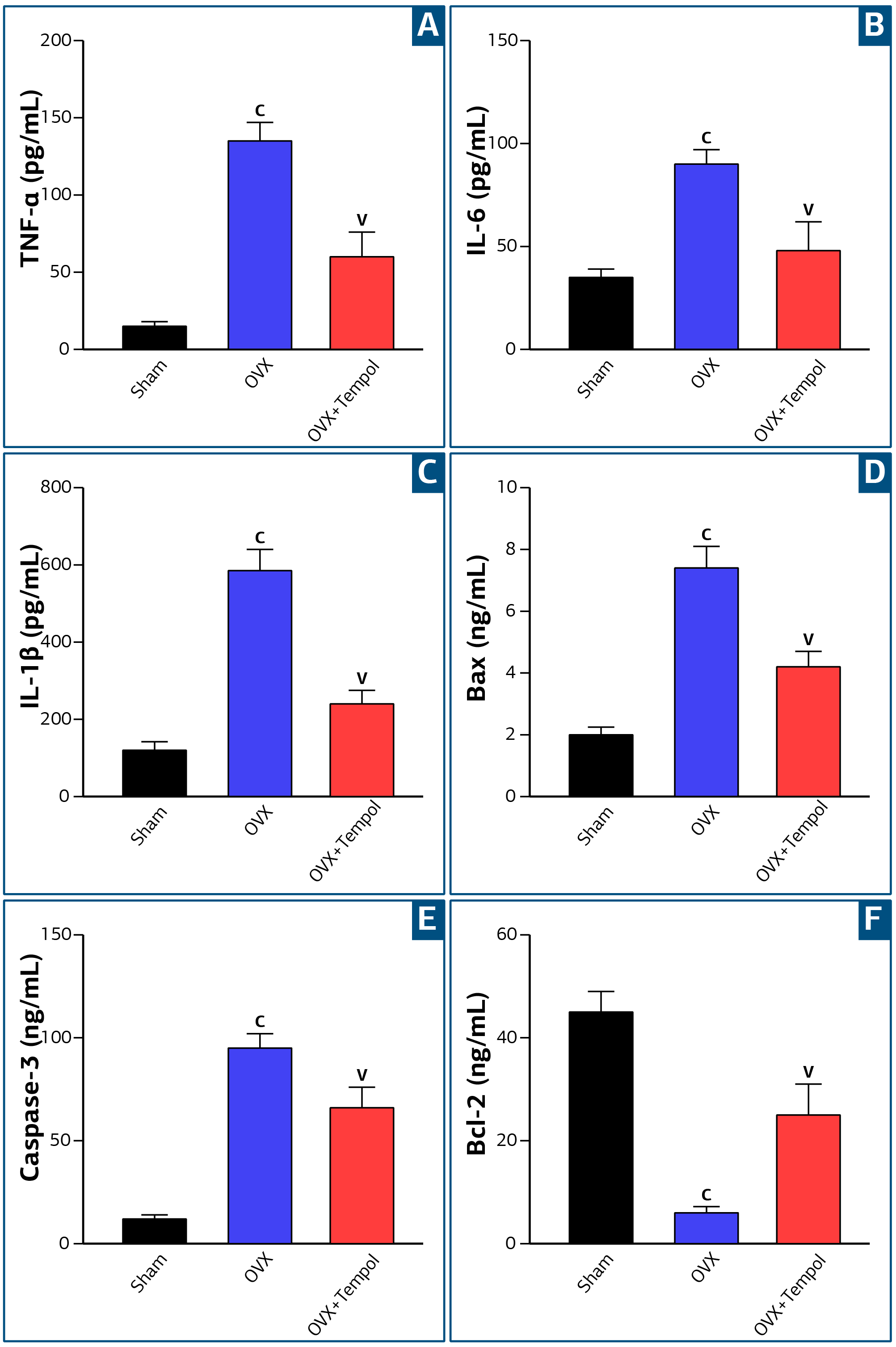 Figure 3. ELISA level of (A) TNF-α, (B) IL-6, (C) IL-1β, (D) Bax, (E) Caspase-3, (F) Bcl-2 in tissue homogenates of all groups. cp< 0.05 vs sham rats, vp< 0.05 vs OVX rats.