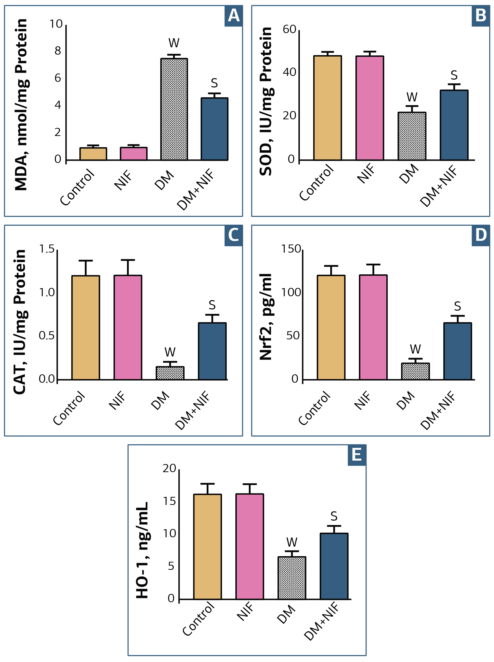 Figure 1. The level of (A) MDA, (B) SOD, (C) CAT, (D) Nrf2, and (E) HO-1 in Sciatic Nerve Supernatant in Different Groups