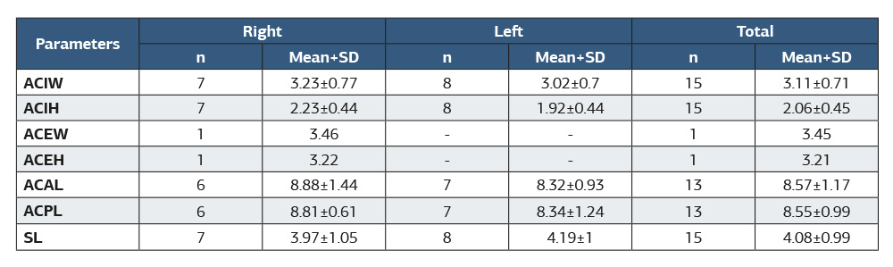 Table 3