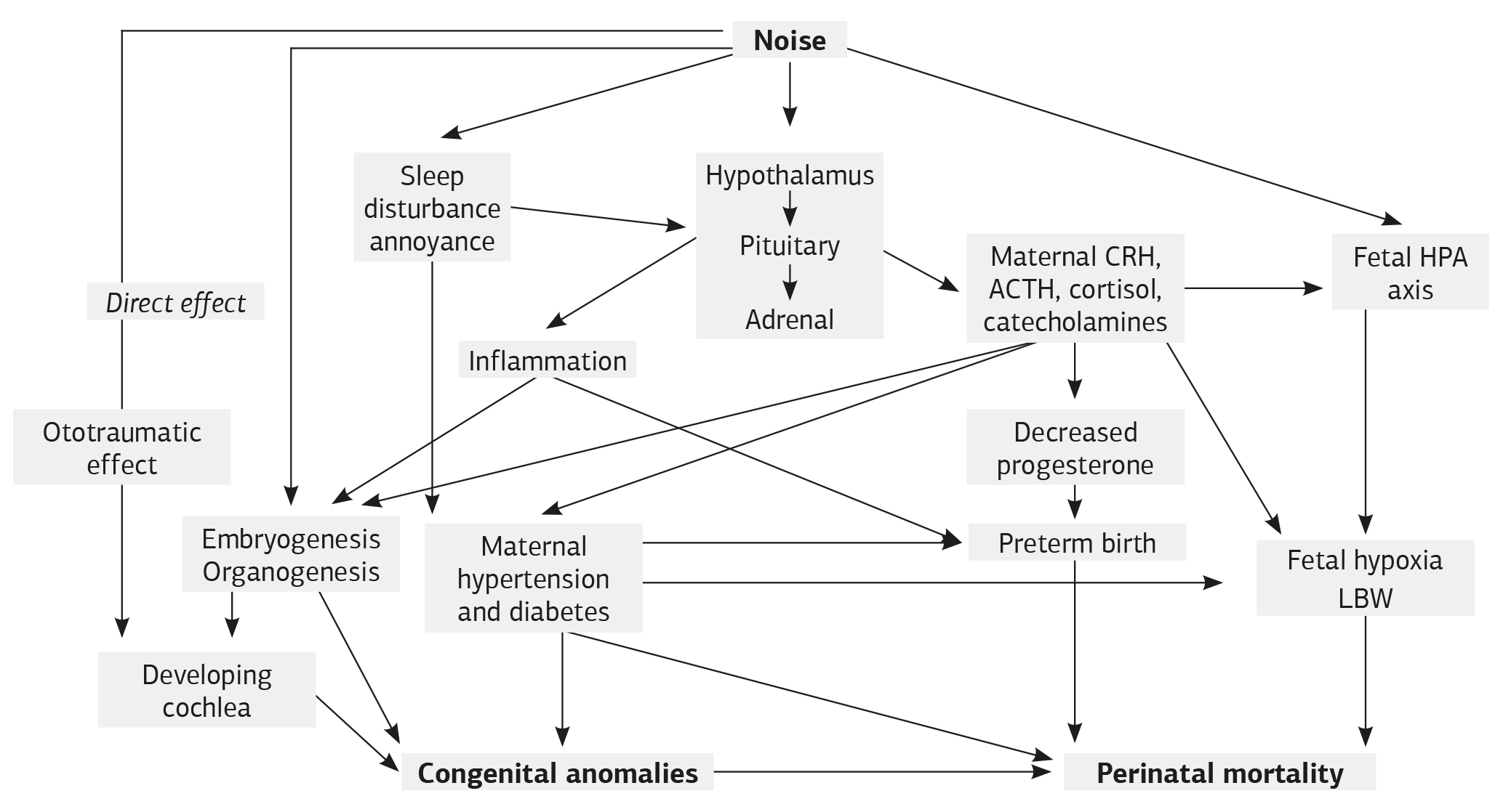 Figure 1. Presentation of possible pathways and biological mechanisms from noise to congenital anomalies and perinatal mortality